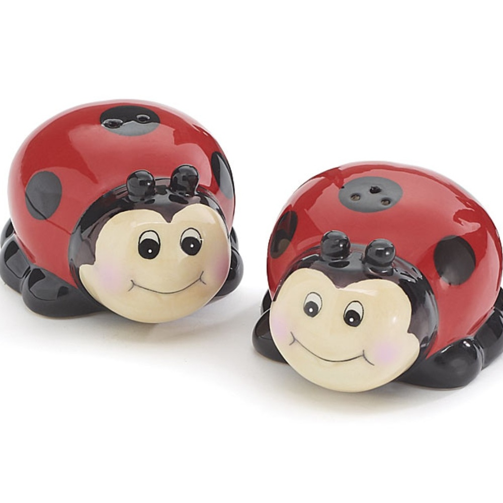 Lady Bug Salt and Pepper Shakers